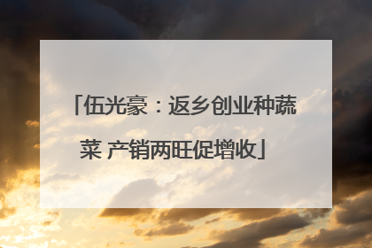 伍光豪：返乡创业种蔬菜 产销两旺促增收