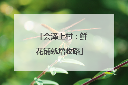 会泽上村：鲜花铺就增收路