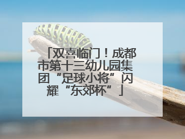 双喜临门！成都市第十三幼儿园集团“足球小将”闪耀“东郊杯”