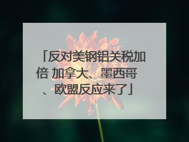反对美钢铝关税加倍 加拿大、墨西哥、欧盟反应来了