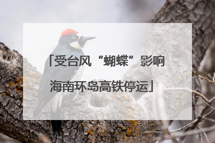 受台风“蝴蝶”影响 海南环岛高铁停运