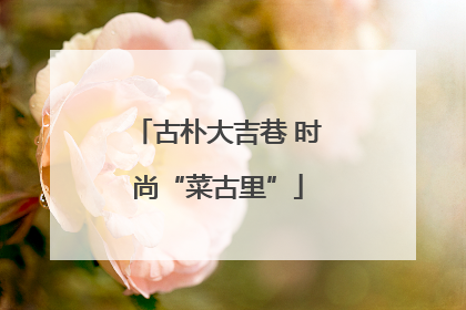 古朴大吉巷 时尚“菜古里”
