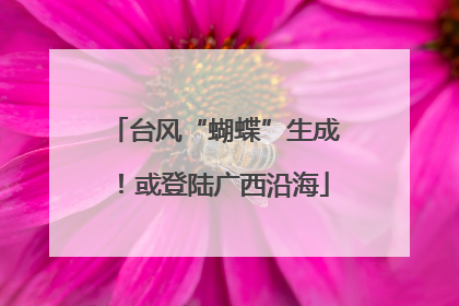 台风“蝴蝶”生成！或登陆广西沿海