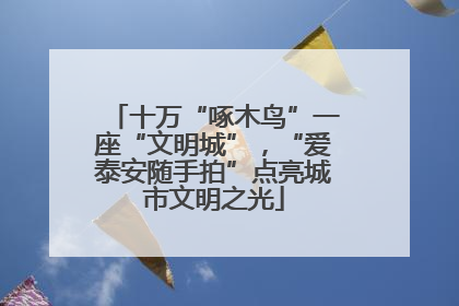 十万“啄木鸟”一座“文明城”，“爱泰安随手拍”点亮城市文明之光