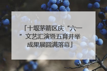 十堰茅箭区庆“六一”文艺汇演暨五育并举成果展圆满落幕