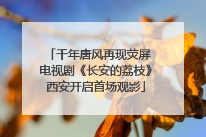 千年唐风再现荧屏 电视剧《长安的荔枝》西安开启首场观影