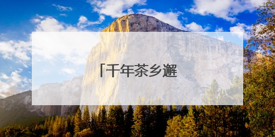 千年茶乡邂逅紫色浪漫