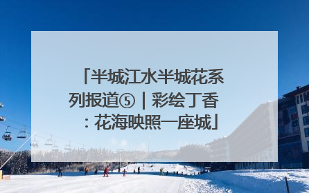 半城江水半城花系列报道⑤｜彩绘丁香：花海映照一座城