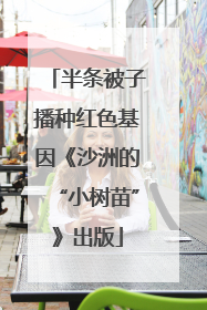 半条被子播种红色基因《沙洲的“小树苗”》出版