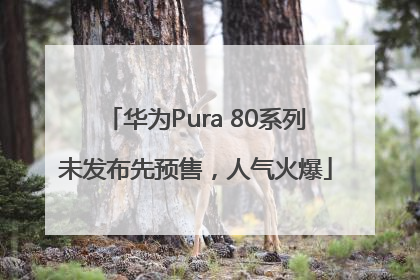 华为Pura 80系列未发布先预售，人气火爆