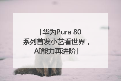 华为Pura 80系列首发小艺看世界，AI能力再进阶