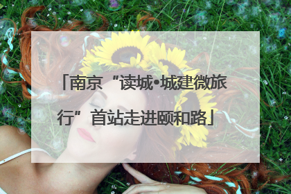 南京“读城•城建微旅行”首站走进颐和路