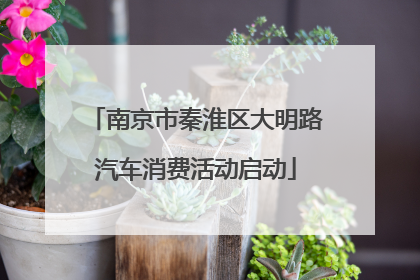 南京市秦淮区大明路汽车消费活动启动
