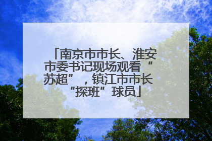 南京市市长、淮安市委书记现场观看“苏超”，镇江市市长“探班”球员