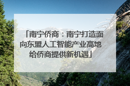 南宁侨商：南宁打造面向东盟人工智能产业高地给侨商提供新机遇