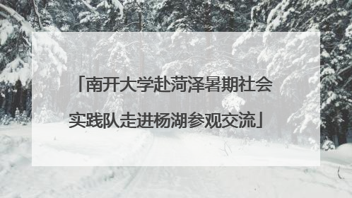 南开大学赴菏泽暑期社会实践队走进杨湖参观交流