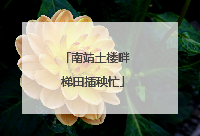 南靖土楼畔 梯田插秧忙