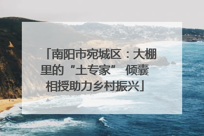 南阳市宛城区：大棚里的“土专家” 倾囊相授助力乡村振兴