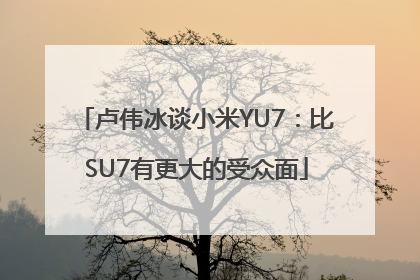 卢伟冰谈小米YU7：比SU7有更大的受众面