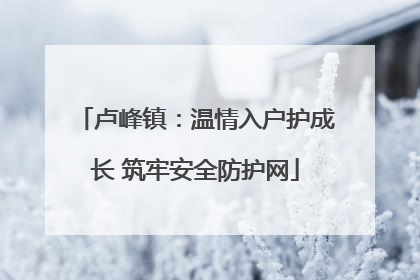 卢峰镇：温情入户护成长 筑牢安全防护网