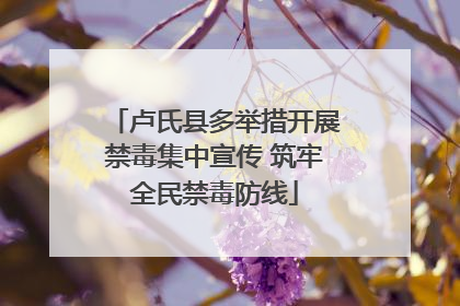卢氏县多举措开展禁毒集中宣传 筑牢全民禁毒防线