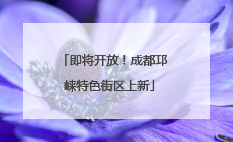 即将开放！成都邛崃特色街区上新