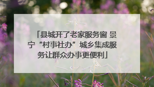 县城开了老家服务窗 景宁“村事社办”城乡集成服务让群众办事更便利