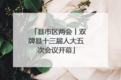 县市区两会丨双牌县十三届人大五次会议开幕