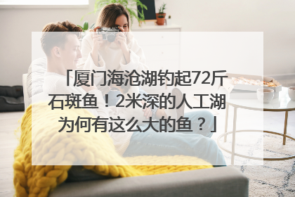 厦门海沧湖钓起72斤石斑鱼！2米深的人工湖为何有这么大的鱼？