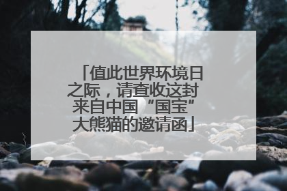 值此世界环境日之际，请查收这封来自中国“国宝”大熊猫的邀请函