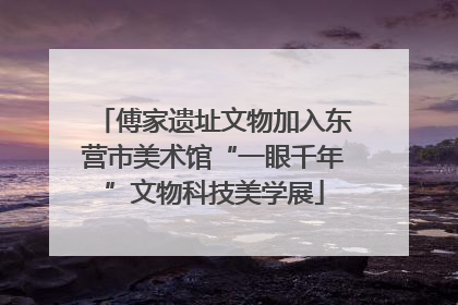 傅家遗址文物加入东营市美术馆“一眼千年”文物科技美学展