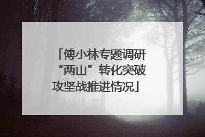 傅小林专题调研“两山”转化突破攻坚战推进情况