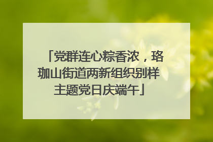党群连心粽香浓，珞珈山街道两新组织别样主题党日庆端午