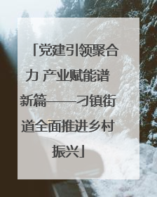 党建引领聚合力 产业赋能谱新篇——刁镇街道全面推进乡村振兴