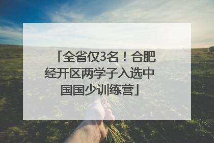 全省仅3名！合肥经开区两学子入选中国国少训练营