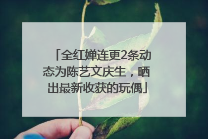 全红婵连更2条动态为陈艺文庆生，晒出最新收获的玩偶