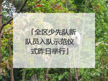 全区少先队新队员入队示范仪式昨日举行