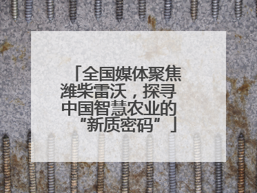 全国媒体聚焦潍柴雷沃，探寻中国智慧农业的“新质密码”