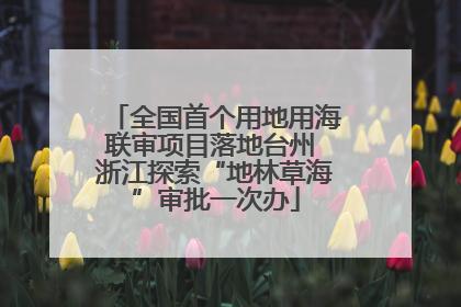 全国首个用地用海联审项目落地台州 浙江探索“地林草海”审批一次办