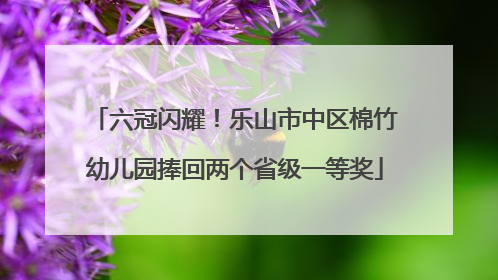 六冠闪耀！乐山市中区棉竹幼儿园捧回两个省级一等奖