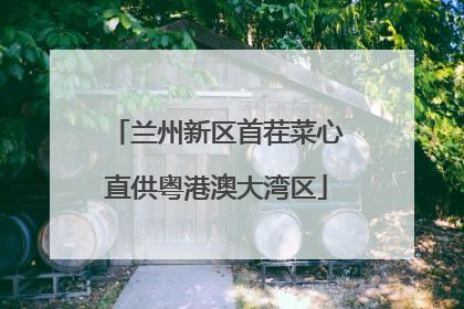 兰州新区首茬菜心直供粤港澳大湾区