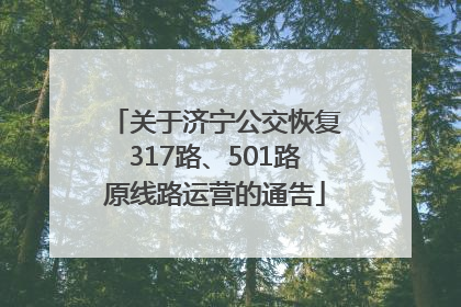 关于济宁公交恢复317路、501路原线路运营的通告