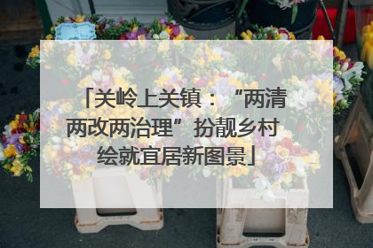 关岭上关镇：“两清两改两治理”扮靓乡村 绘就宜居新图景