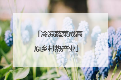 冷凉蔬菜成高原乡村热产业