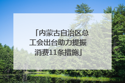 内蒙古自治区总工会出台助力提振消费11条措施