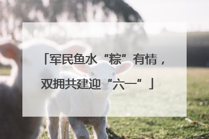 军民鱼水“粽”有情，双拥共建迎“六一”