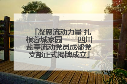 凝聚流动力量 扎根蓉城家园——四川盐亭流动党员成都党支部正式揭牌成立