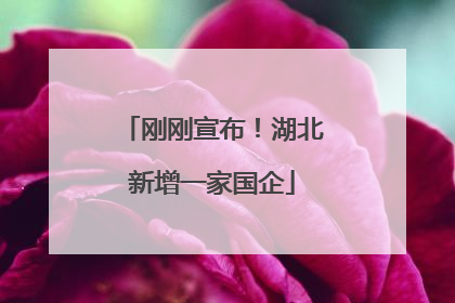 刚刚宣布！湖北新增一家国企