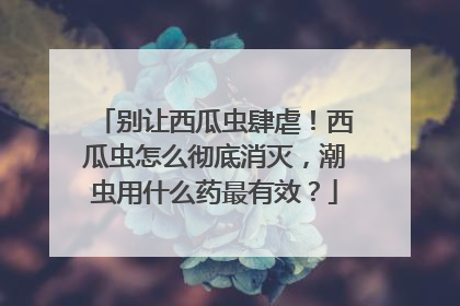 别让西瓜虫肆虐！西瓜虫怎么彻底消灭，潮虫用什么药最有效？