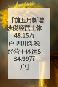 前五月新增涉税经营主体48.15万户 四川涉税经营主体达534.99万户